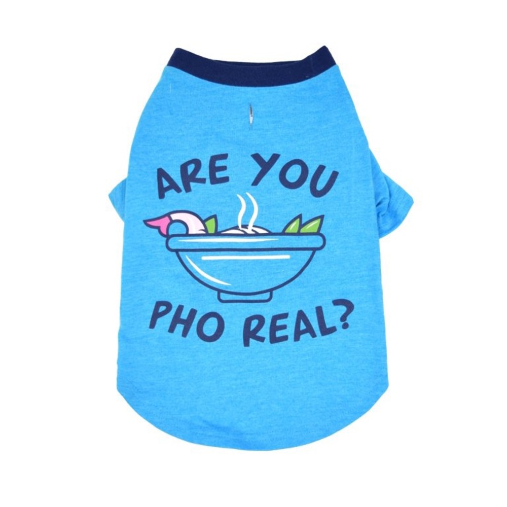 Vibrant Life "Are You Pho Real" Dog Tee, Size Medium